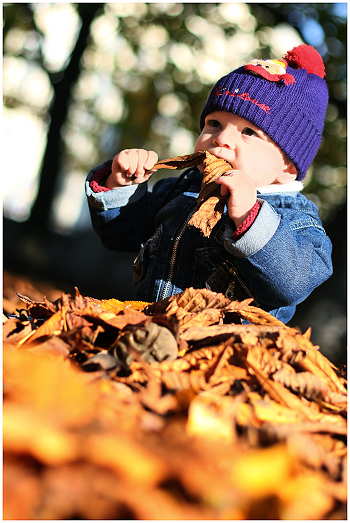 Taste of Autumn (color version)