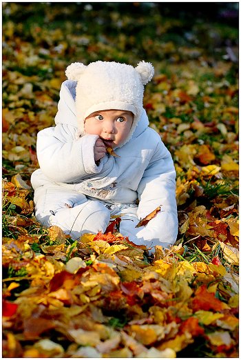 Taste of autumn 2