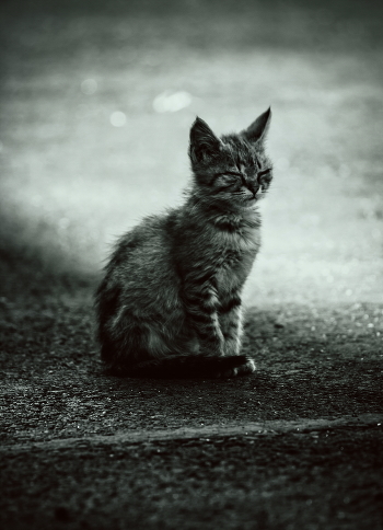 meditation