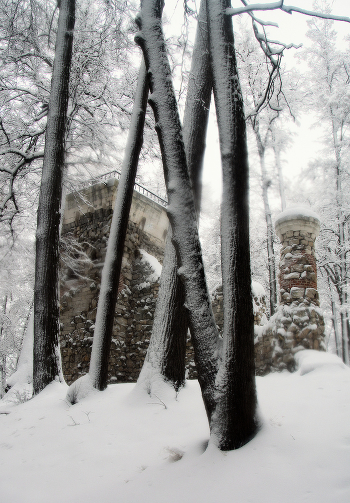 In Winter Park