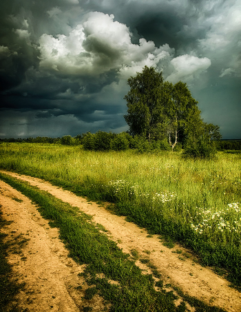 Before the storm