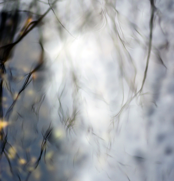 from yesterday's winter