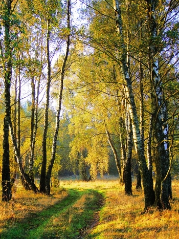 October morning