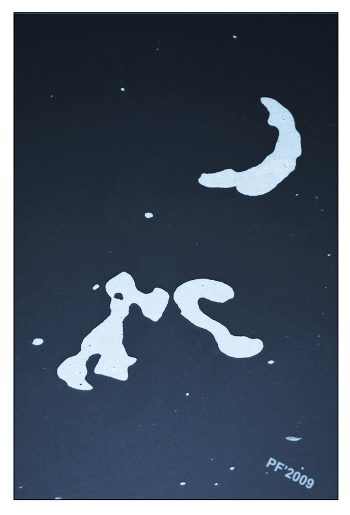 Poodle eating sausage a moonlit night