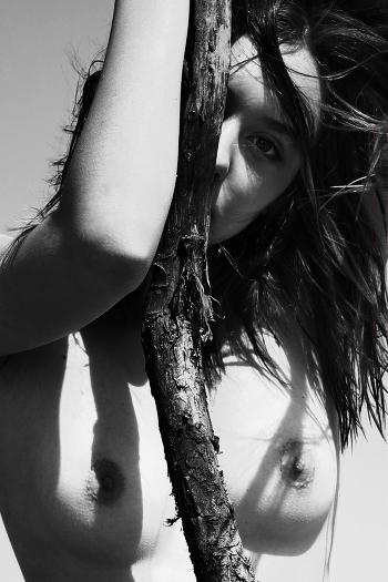 Lera