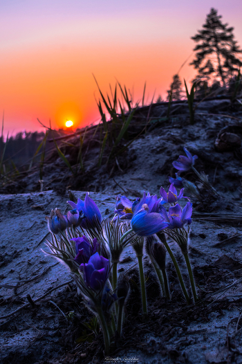 May evening