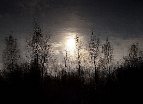 reflection of silence