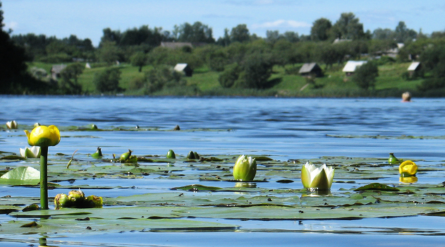 island, that in Belarus