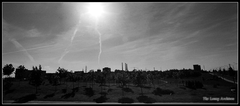 Morning in the village