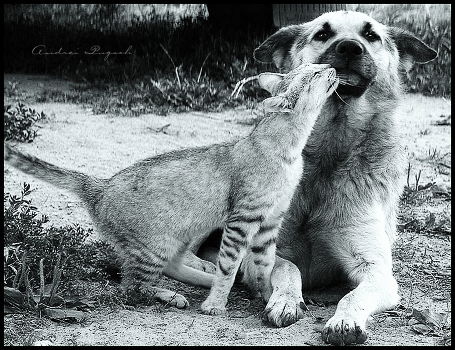 Like this, now, mad love. :)