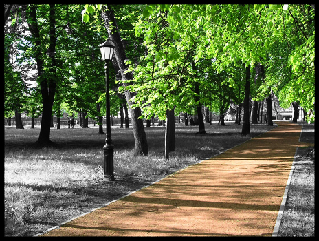 Park