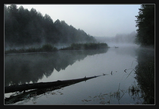 Good autumn morning