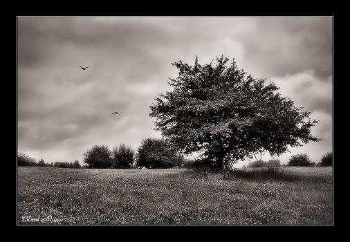 Gray mood ...