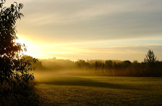 About dawn with fog