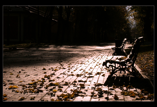 - morning. benches. -
