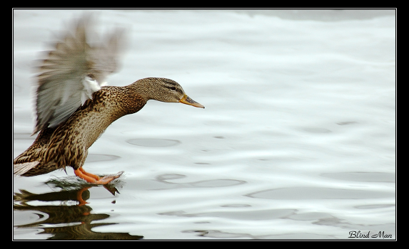 Soft landing ...