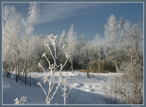 Frost and the Sun ... (I)