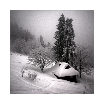 Solitude