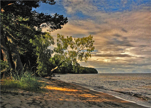 Coast