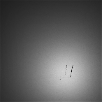 III