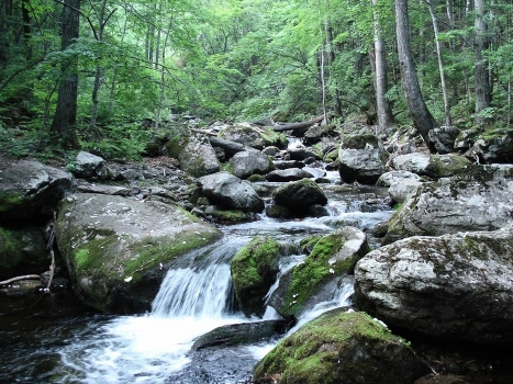 Not far from the waterfall