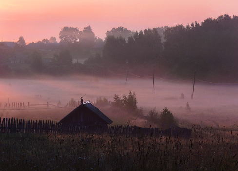 Foggy morning