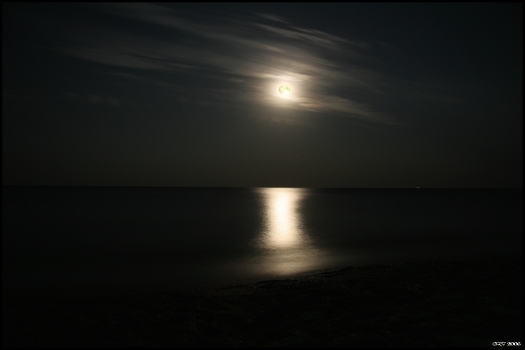 walk under the moon