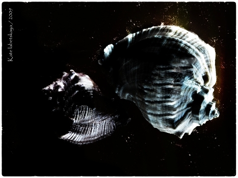 Shells