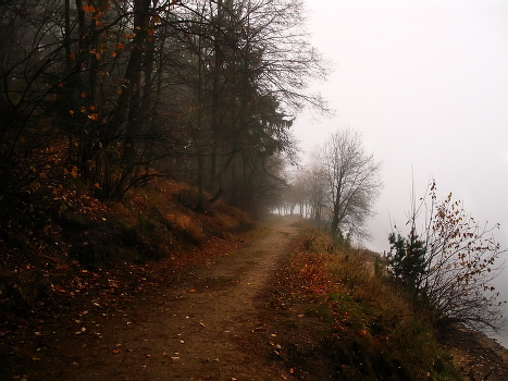 About the fall season and the fog
