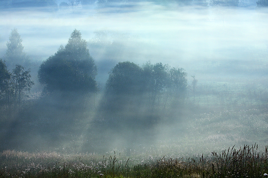 rusalkin prairie