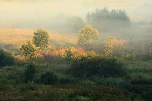 rusalkin Meadow II