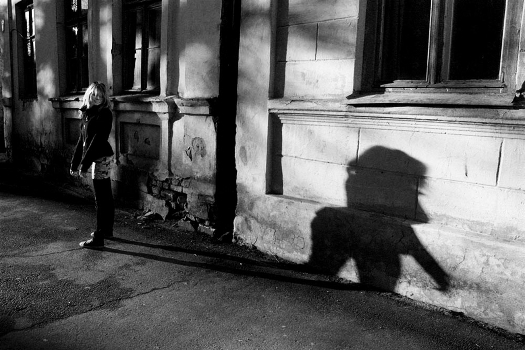 Discarding the shadow ...