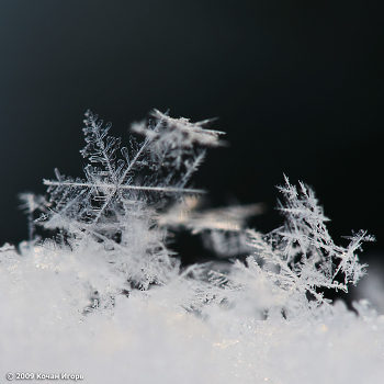 Snow