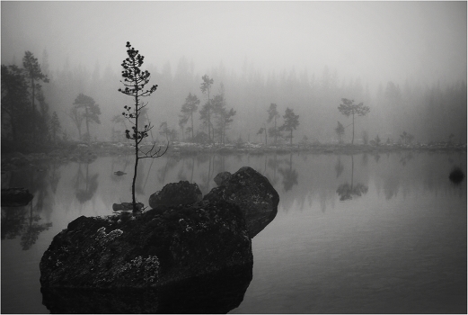 The Nature of Things, or UNITY YOUTH AND ETERNITY