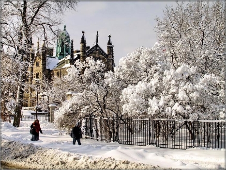Why winter city
