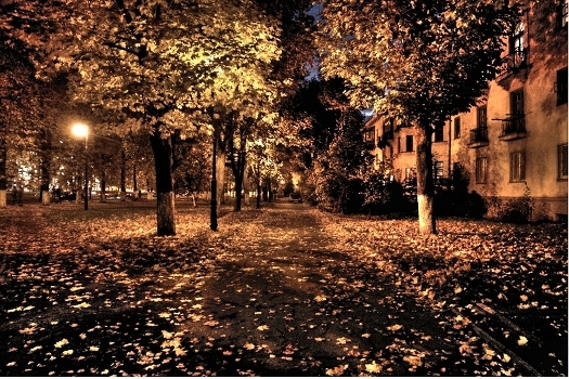 Autumn