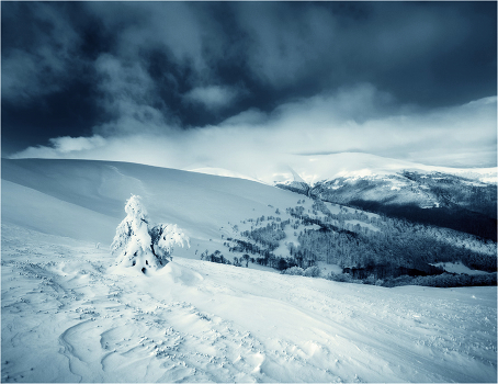 Winter
