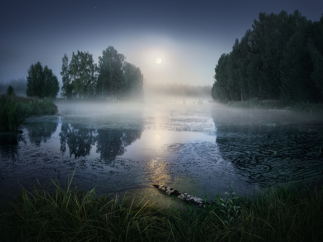 Moonlight