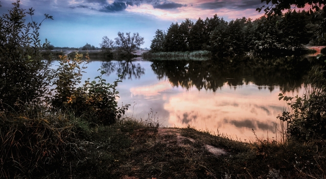 Quiescence