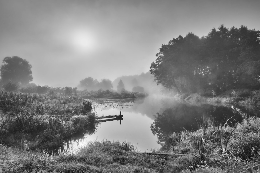 Summer Fishing
