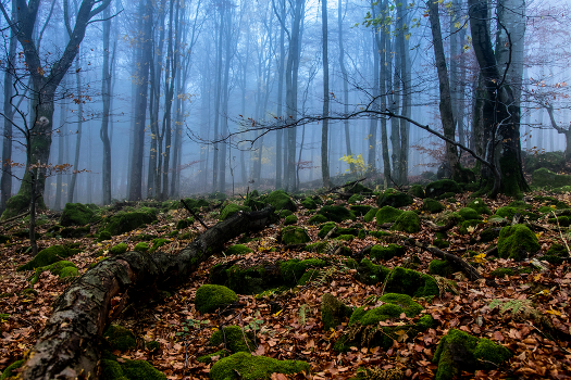 Autumn in the mountains