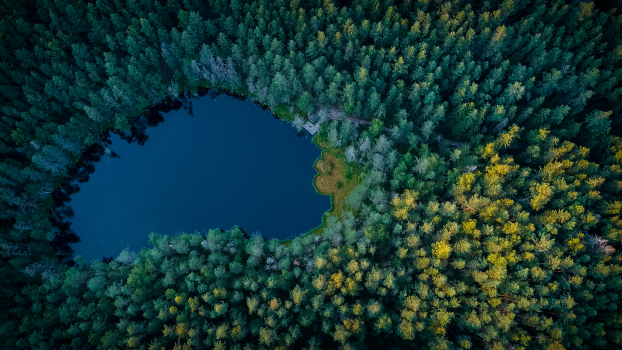 Dead Lake