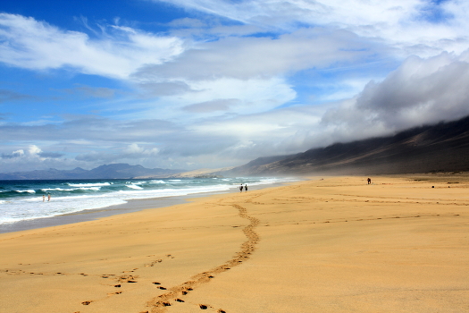Walking along the shore