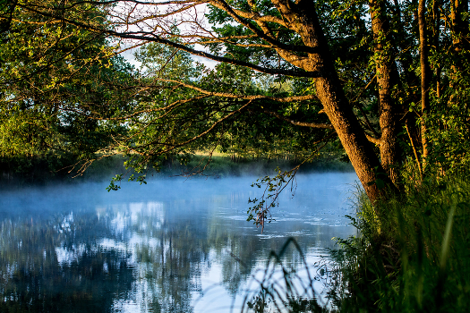 Morgen am Neman