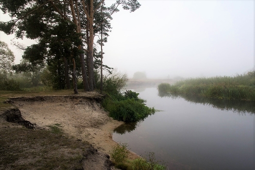 By the river