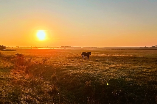 September Dawn