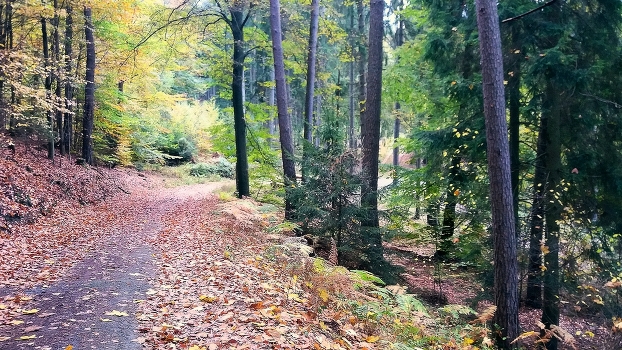 At the end of the summer.