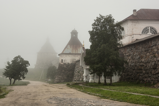 Foggy morning