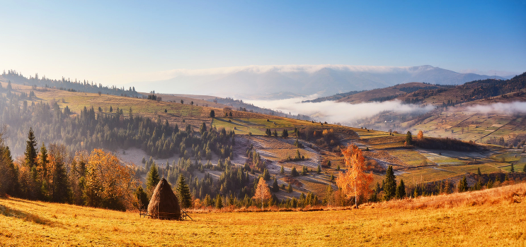 November panorama
