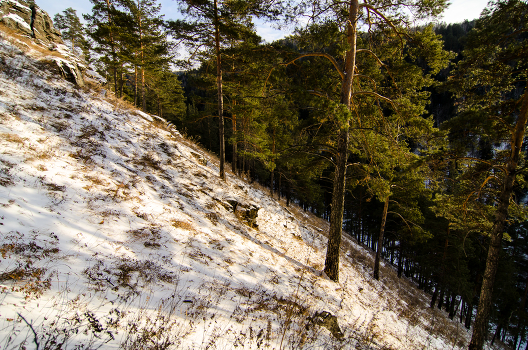 Pre-winter